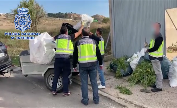 Agentes de la Policía Nacional ha detenido a cinco personas y han desmantelado dos plantaciones indoor de marihuana en dos localidades de la Comunidad de Madrid.