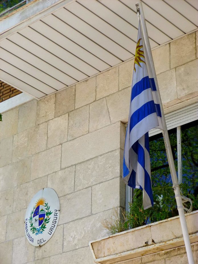 Entrega a la Dirección General Contra el Crimen Organizado e INTERPOL-Uruguay