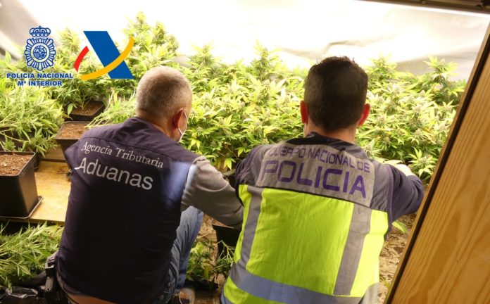 Detenida una organización de tráfico de drogas procedente del Caribe