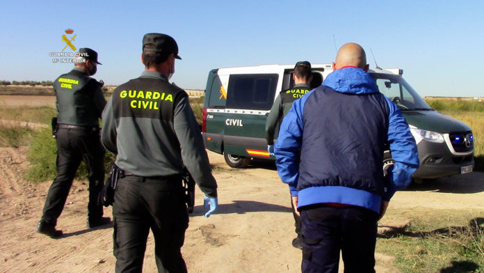 La Guardia Civil realiza una de las mayores incautaciones de una misma plantación Europa
