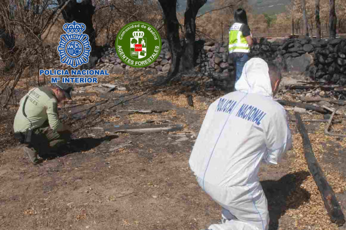 Detenido el autor de seis incendios intencionados en zonas de especial protección