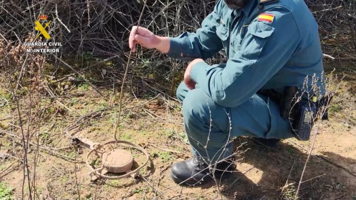 El SEPRONA ha detenido a 508 personas por maltrato y tráfico ilegal de animales