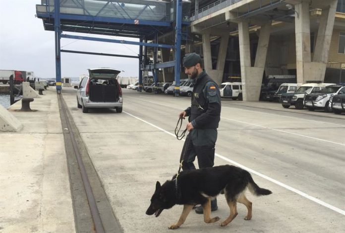 Agente de la Guardia Civil de la unidad canina