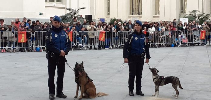 Unidad canina de la Policía Municipal