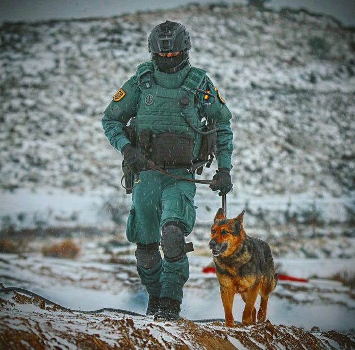 Servicio Cinológico de la Guardia Civil