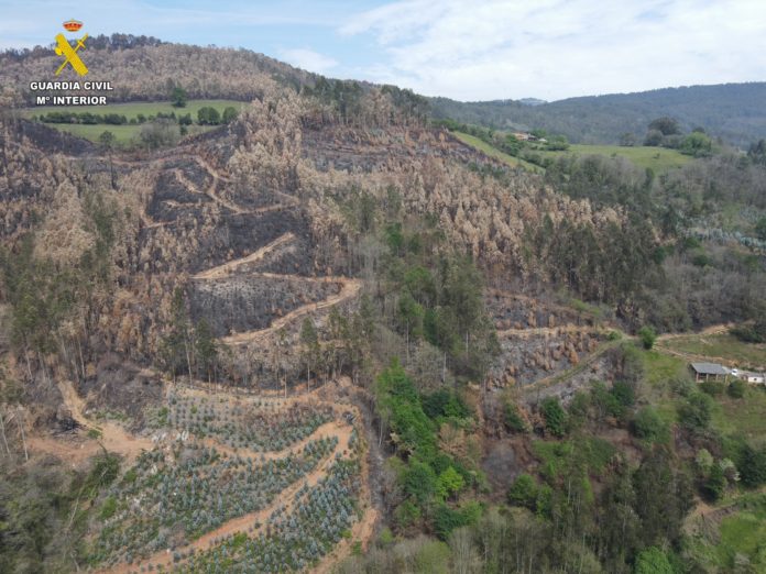Imagen aérea del incendio del Principado de Asturias