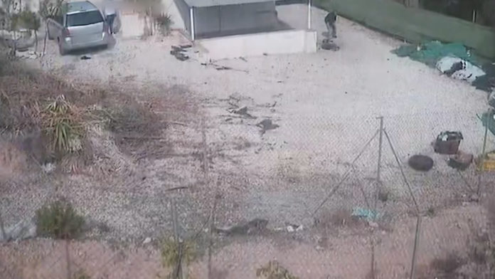 La Guardia Civil investiga a dos personas por maltrato animal