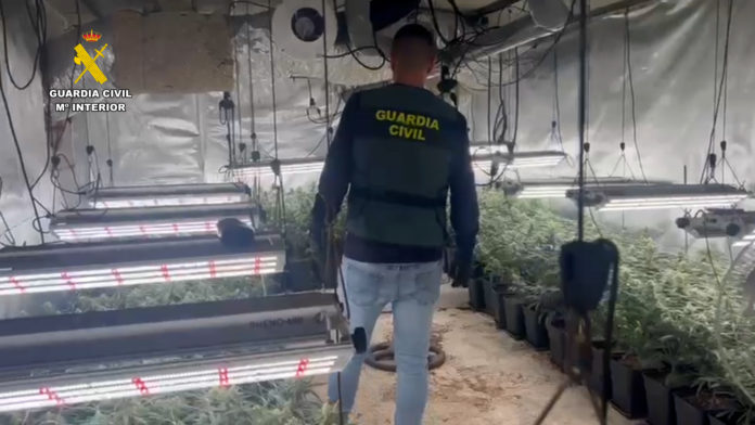 Un guardia civil durante el registro de una plantación de marihuana